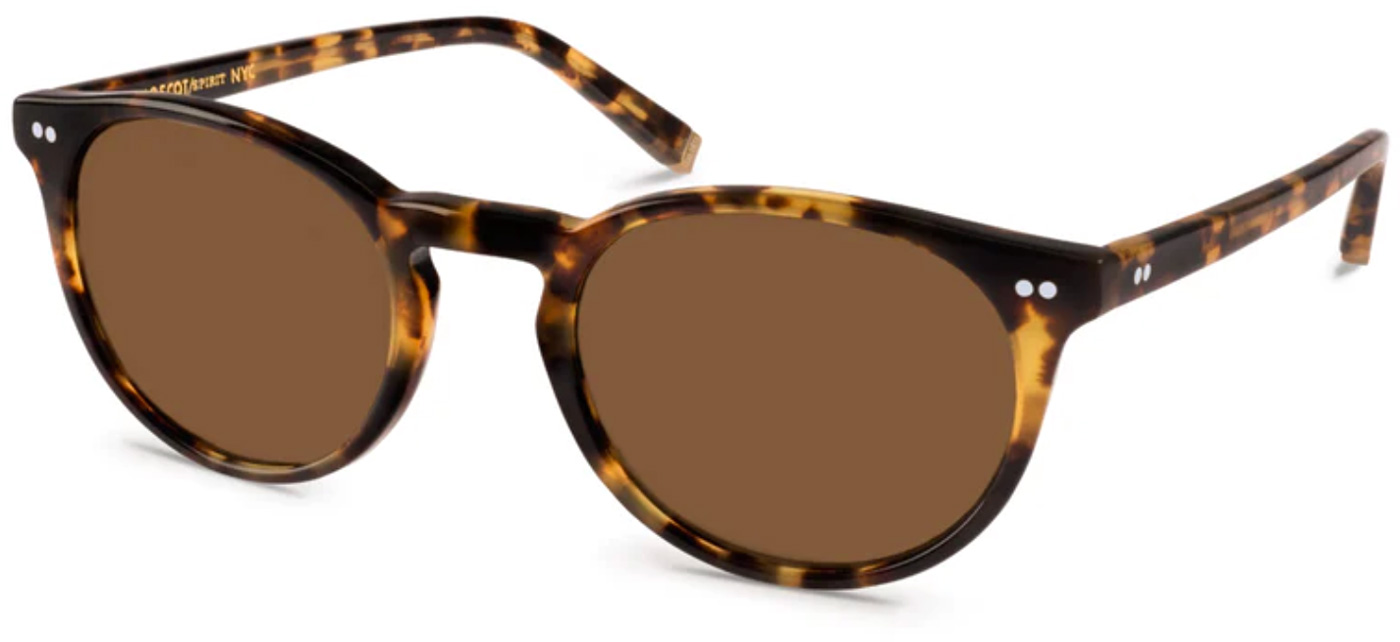 Moscot Frankie Sun, Tortoise frame