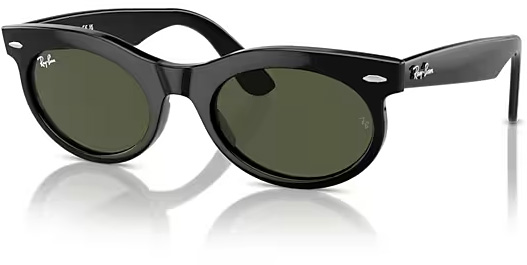 Ray-Ban RB2242 Wayfarer Oval
