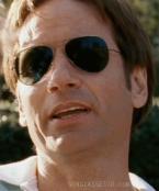 David Duchovny wears Ray-Ban 3025 Aviator sunglasses in The Joneses