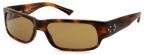 Blind Mac Steed sunglasses, tortoise frame, brown lenses