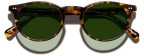Moscot Frankie Sun, Tortoise frame