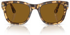Persol PO3313S 105633 Brown/Beige Tortoise frame and Brown lenses