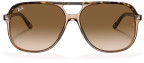 Ray-Ban RB2198 Bill