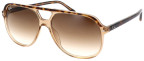 Ray-Ban Bill Tortoise RB2198 Polished Havana On Transparent Brown, Light Brown Gradient lenses, 1292/51