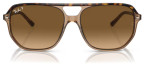 Ray-Ban RB2205 Bill One, Havana On Transparent Brown, Polarized Lenses