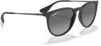 Ray-Ban RB4171 Erika, Matte Rubber Black