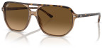 Ray-Ban RB2205 Bill One, Havana On Transparent Brown, Polarized Lenses