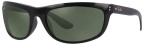 Ray-Ban Balorama RB4089