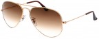 Ray-Ban RB3025 Aviators