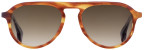 STATE Optical Co. Diversey Sun, color Havana Tortoise