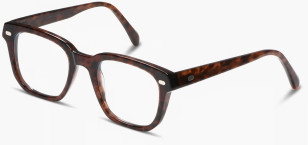Lazare Studio Palmer
