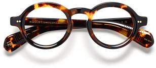 Moscot Foygel, Classic Havana