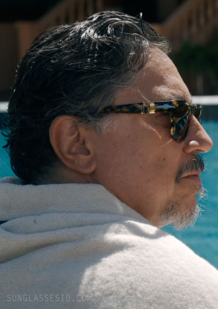 Carlos Bardem wears Persol PO3313S sunglasses in the movie In The Grey.