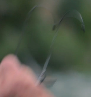 Here we can see that the sunglasses worn by Brian Cox in Mending the Line have cable temples.