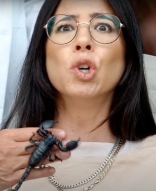 Rachel Wolfson wears Prada PR55WV eyeglasses in the movie Jackass Forever during the scorpion scene.