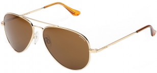 Randolph Engineering Concorde, gold frame, brown lenses, brown skull temples