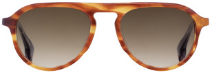 STATE Optical Co. Diversey Sun, color Havana Tortoise
